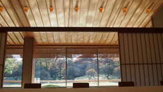 A photo of the reflected light trembling on the ceiling. Looking towards the outdoors from the main Japanese-style room, one can see the sunlight that strikes the pond, projected in trembling patterns onto the ceiling of the veranda.