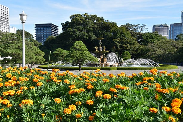 Una fotografía de un parterre y la fuente en el jardín principal. Hay caléndulas plantadas en el parterre. La fuente está designada como tesoro nacional junto con el edificio principal.