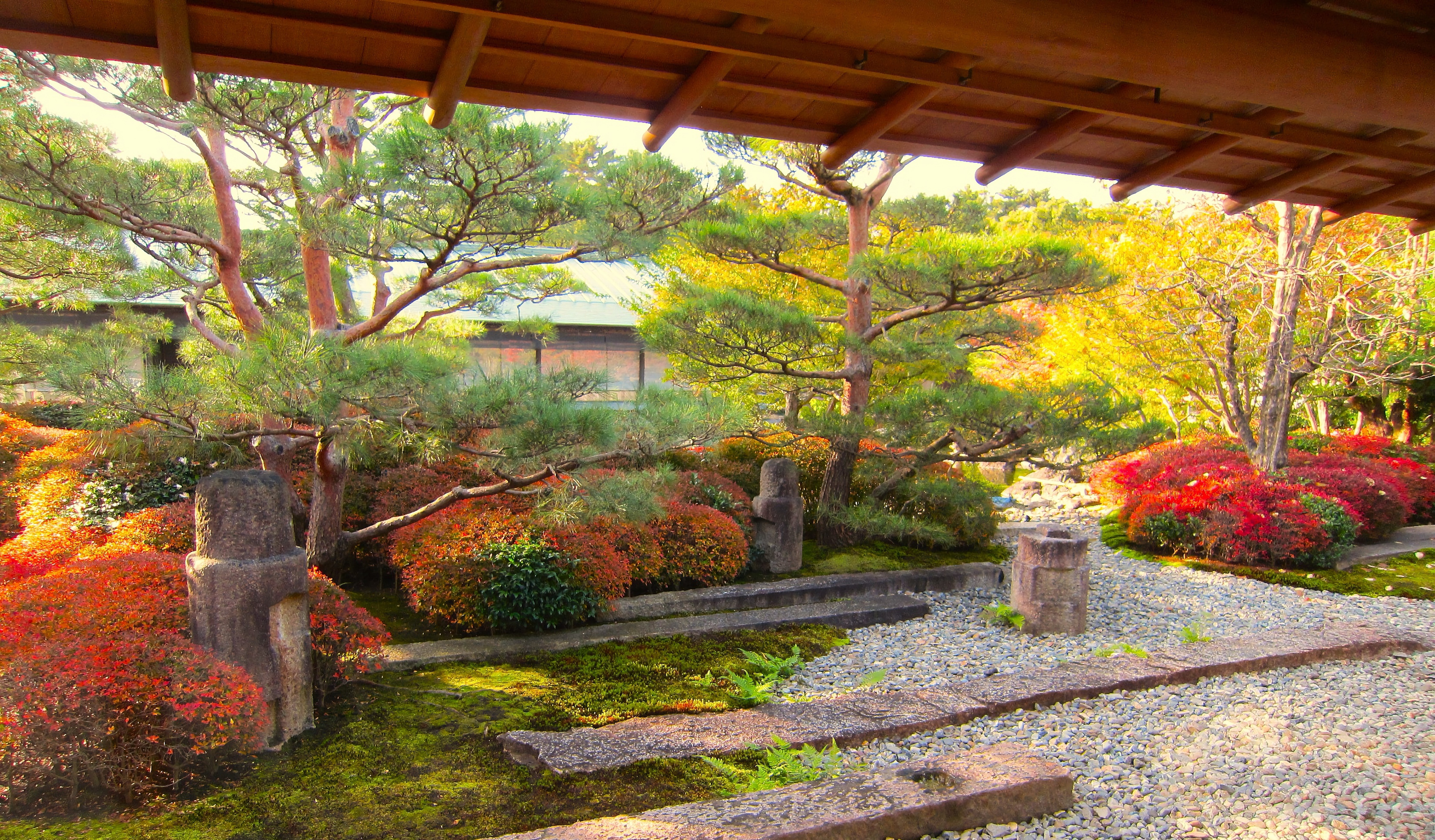 「桐の間」から眺める日本庭園