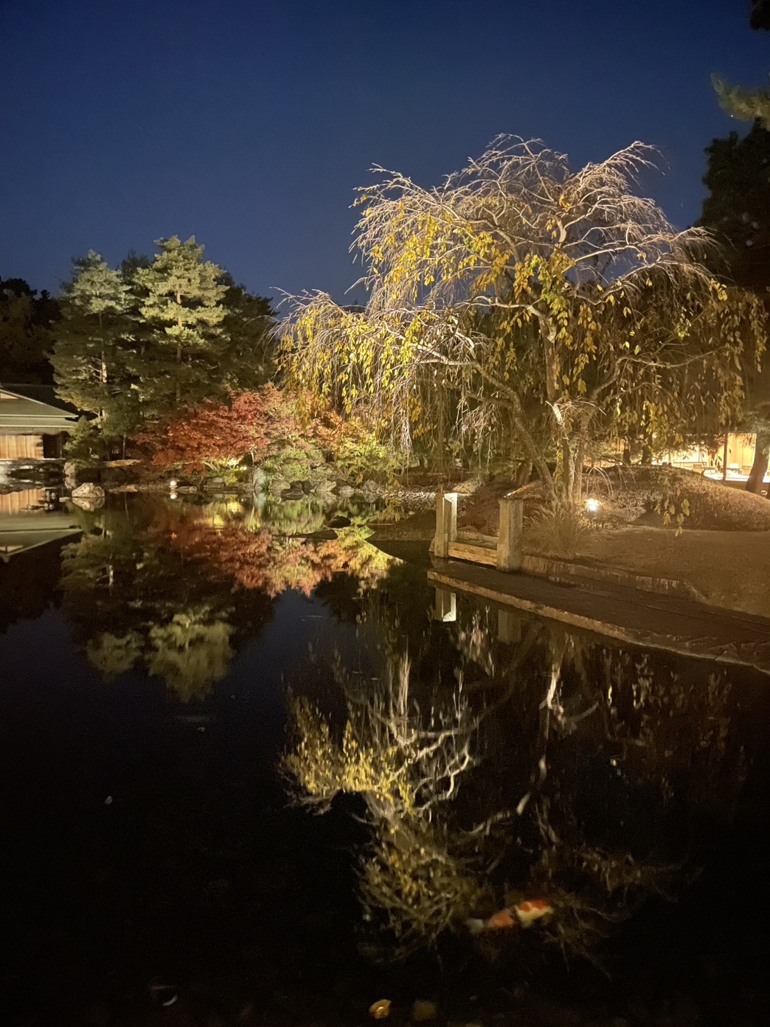 日本庭園の紅葉が大池に映る様子