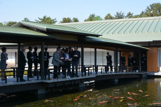 The delegation is feeding Koi carp in the pond from the center of the bridge by spooning food in the wooden square box.