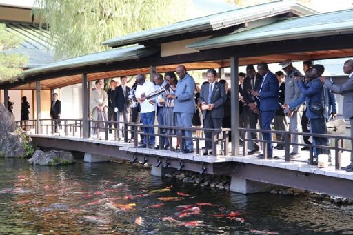 Feeding Koi carp (Covered bridge)