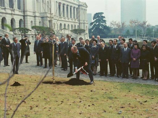 President Ford plants a young dogwood tree during the planting ceremony in the main garden