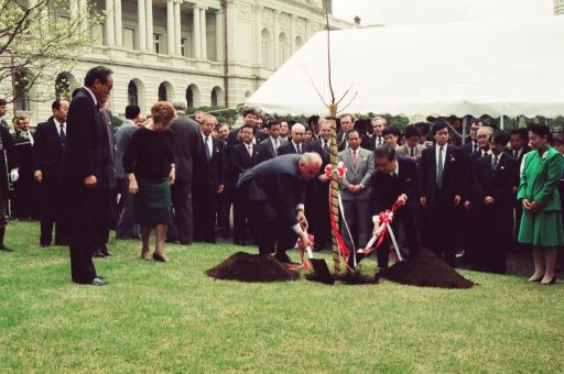 主庭において行われた記念植樹の様子。フユボダイジュの若木にシャベルで土をかけるゴルバチョフ大統領と海部総理
