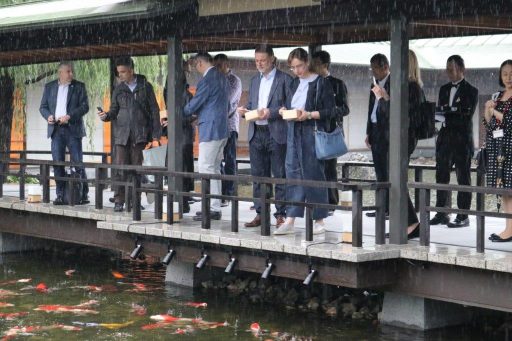 廊橋にて、鯉の餌やり