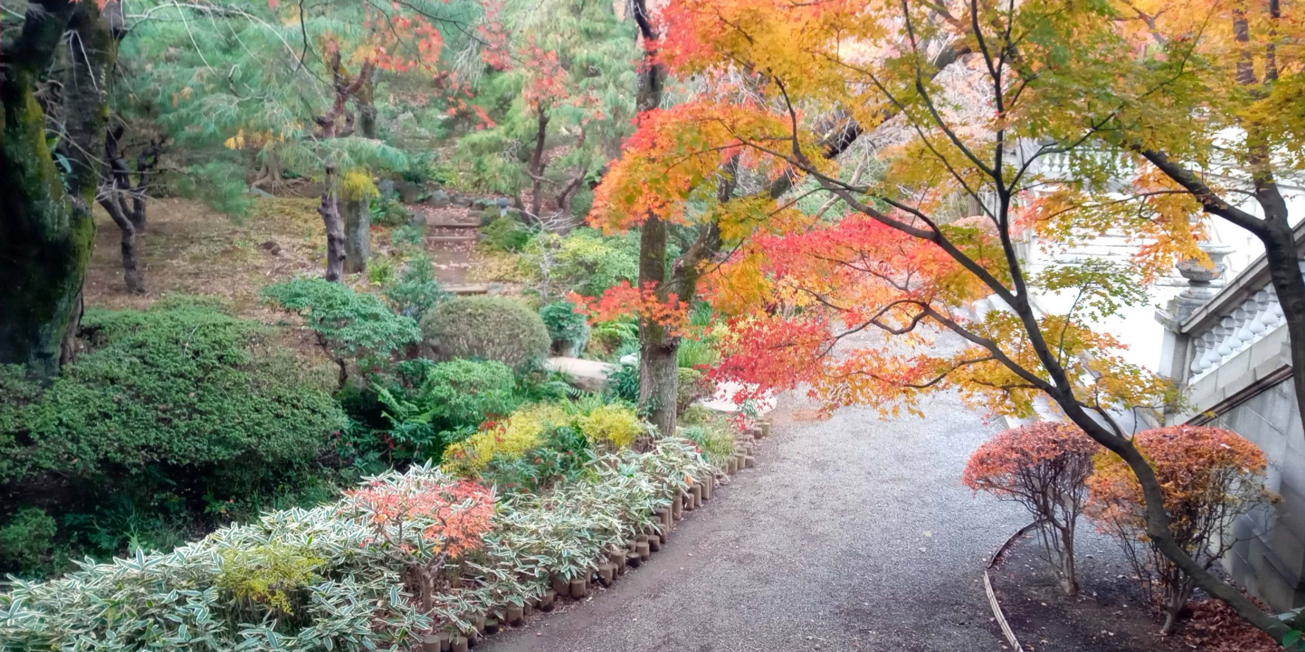 迎賓館赤坂離宮のせせらぎに植えられた、色鮮やかな紅葉